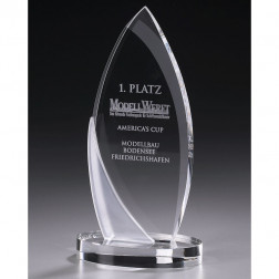 Crystal Newcomer Award