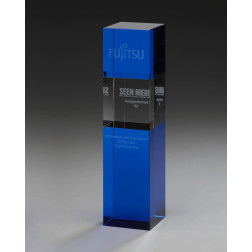 Blue Cube Award