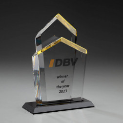 Comittee Trophy