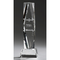 Vision Award