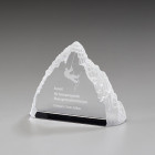Piz Buin Award mit Lasergravur - awards.at
