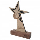 Custom-Shape-Award-Holz-in-Sternform-Awards