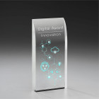 Digital Award aus Kristallglas mit UV-Druck - Awards