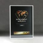 Frame Award in A3 Größe mit silbernem Alurahmen - Awards