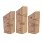 Holz Cubix Award Referenz The Natural Business Award im 3er Set