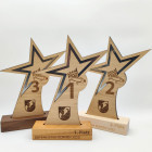 Holz Trophäe Starlight Gravurbeispiel Seifenkistenrennen - Awards