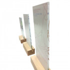 Pure Glas Holz Award Ansicht Rückseite - awards.at