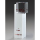 Manhattan Award aus Kristallglas mit UV-Druck und Gravur - Awards