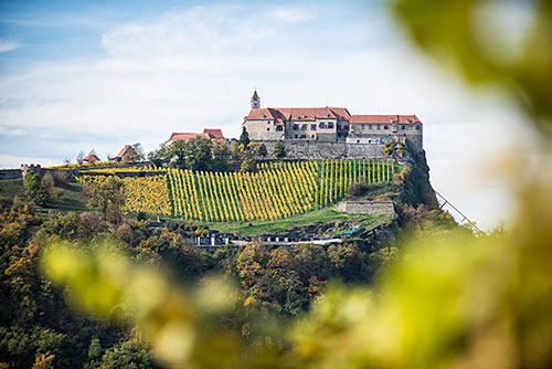 Aussicht auf die Riegersburg