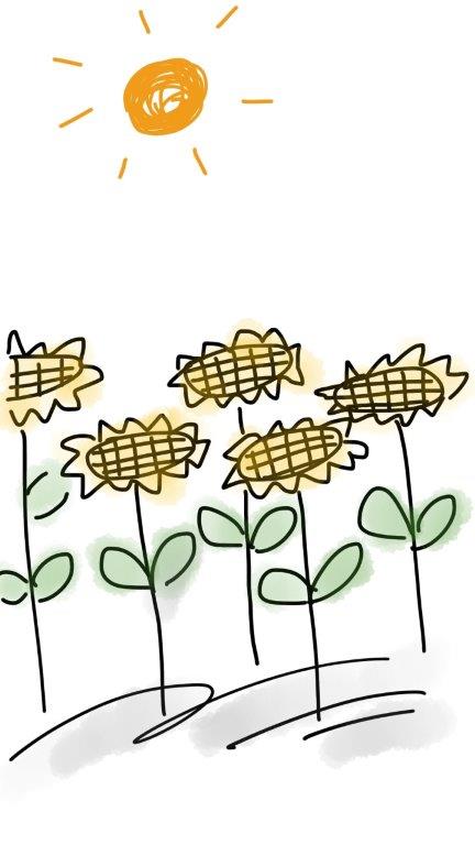 farmgoodies  - so entsteht das gute Geschenk